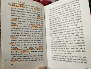 SIEGFRIED VÀ KRIEMHILD (THẦN THOẠI ĐỨC)