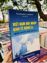 VIỆT NAM HỘI NHẬP KINH TẾ ĐÔNG Á TRONG KHUÔN KHỔ ASEAN + 3