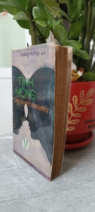 TÌNH MỘNG