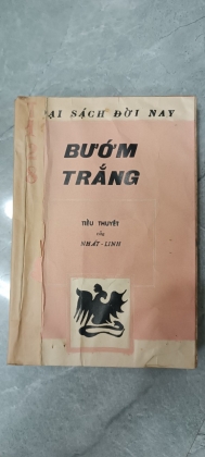 BƯỚM TRẮNG 