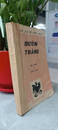 BƯỚM TRẮNG 