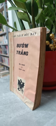 BƯỚM TRẮNG 