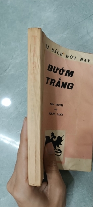 BƯỚM TRẮNG 