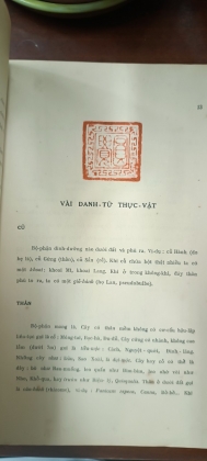 CÂY CỎ MIỀN NAM VIỆT NAM