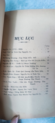 CHÂN DUNG NGUYỄN DU 