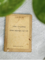 VĂN CHƯƠNG VÀ KINH NGHIỆM HƯ VÔ 