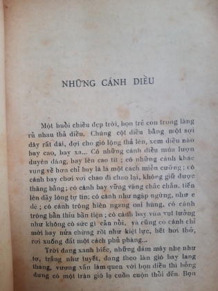 NHỮNG CÁNH DIỀU 