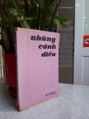 NHỮNG CÁNH DIỀU 