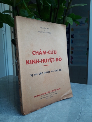 CHÂM CỨU KINH HUYỆT ĐỒ