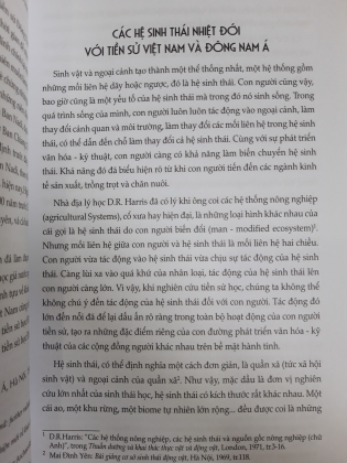 THEO DẤU CÁC VĂN HÓA CỔ 