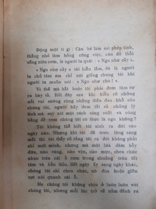 KÝ ỨC CỦA CON VỆN