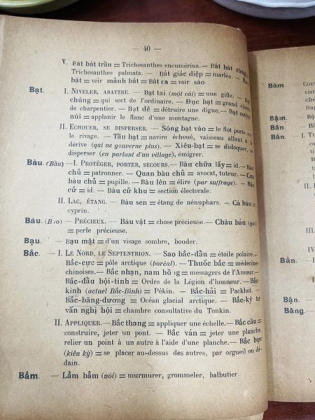 DICTIONNAIRE ANNAMITE - FRANCAIS 