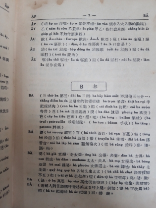 MÔ PHẠM VIỆT HOA TỪ ĐIỂN