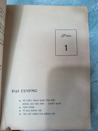 VẠN VẬT 12A