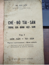 CHẾ ĐỘ TÀI SẢN TRONG GIA ĐÌNH VIỆT NAM