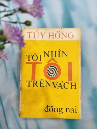 TÔI NHÌN TÔI TRÊN VÁCH - TUÝ HỒNG