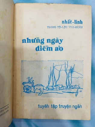 NHỮNG NGÀY DIỄM ẢO