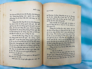 NHỮNG NGÀY DIỄM ẢO