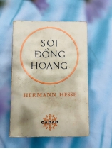 SÓI ĐỒNG HOANG