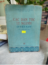 CÁC DÂN TỘC ÍT NGƯỜI Ở VIỆT NAM ( CÁC TỈNH PHÍA BẮC) 