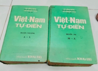 Việt Nam Tự Điển