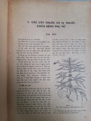 NHỮNG CÂY THUỐC VÀ VỊ THUỐC VIỆT NAM 