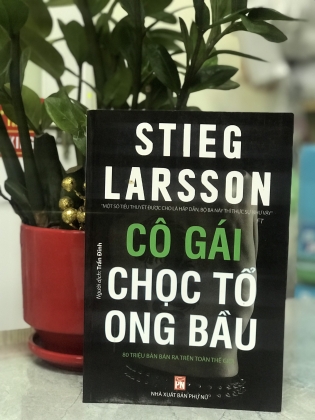 CÔ GÁI CHỌC TỔ ONG BẦU 