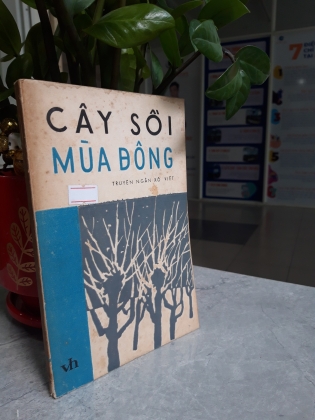 CÂY SỒI MÙA ĐÔNG 