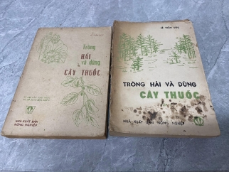 TRỒNG HÁI VÀ DÙNG CÂY THUỐC