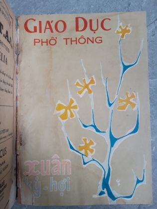 TẠP CHÍ GIÁO DỤC THỔ THÔNG  