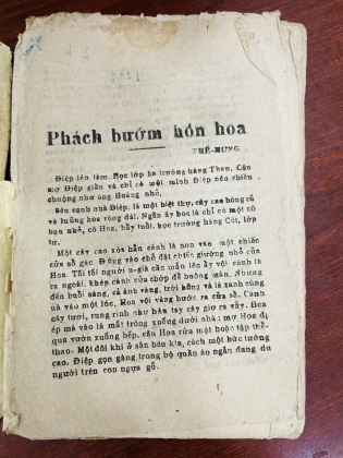 PHÁCH BƯỚM HỒN HOA