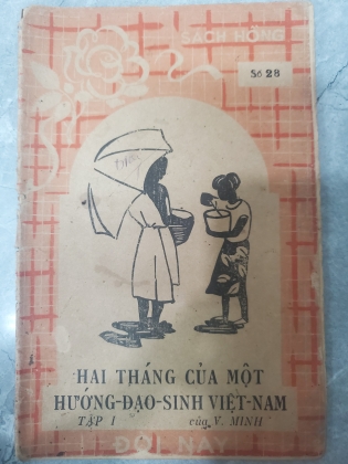 HAI THÁNG CỦA MỘT HƯỚNG ĐẠO SINH VIỆT NAM ( TẬP 1)