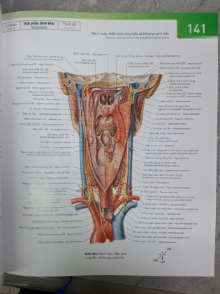 SOBOTTA ATLAS GIẢI PHẪU NGƯỜI 