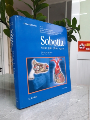 SOBOTTA ATLAS GIẢI PHẪU NGƯỜI 