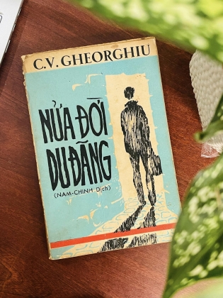 NỬA ĐỜI DU ĐÃNG