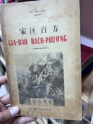 GIA BẢO BÁCH PHƯƠNG - VIỆT CÚC