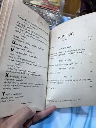 TIẾNG CƯỜI - PHẠM XUÂN ĐỘ