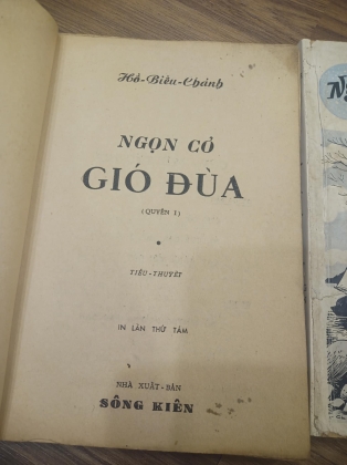 ngọn cỏ gió đùa - Hồ Biểu Chánh 