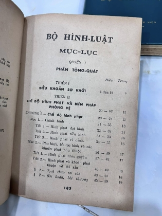 HÌNH LUẬT - NGUYỄN HÙNG TRƯƠNG